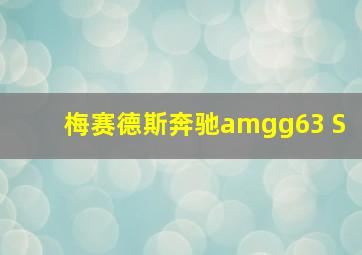 梅赛德斯奔驰amgg63 S